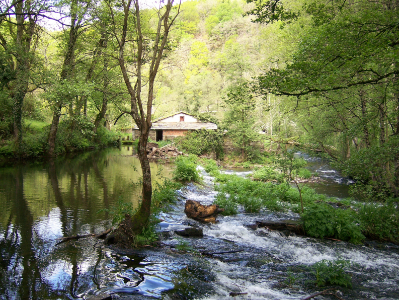 Presa del Río Sarria en Samos